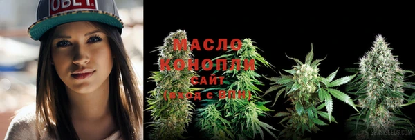 индика Волосово