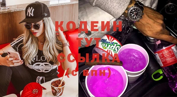 индика Волосово