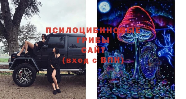 2c-b Верхний Тагил