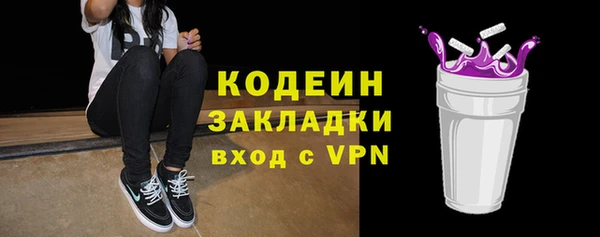 индика Волосово