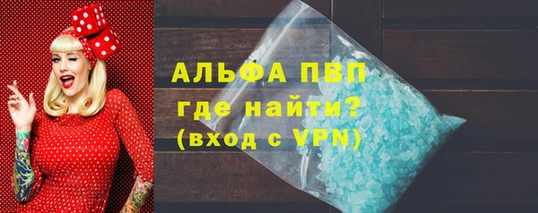 индика Волосово