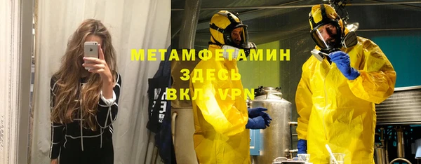 индика Волосово