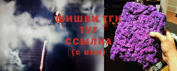 индика Волосово